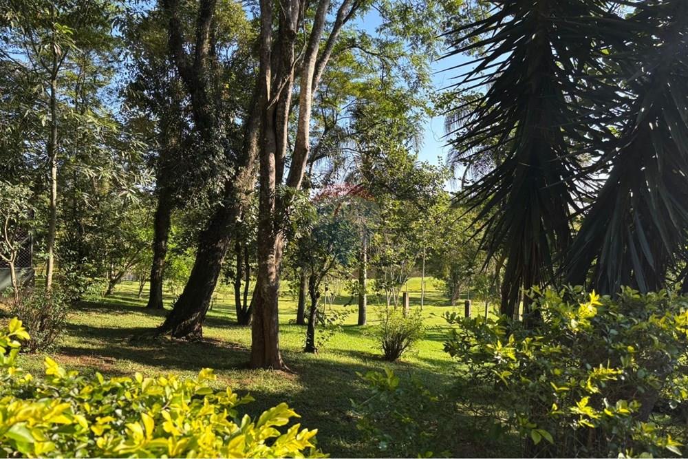 Terreno - Venda - Tuiuti , São Paulo - WhatsApp Image 2026-03-30 at 08.55.15 (3).jpeg - 690511333-41