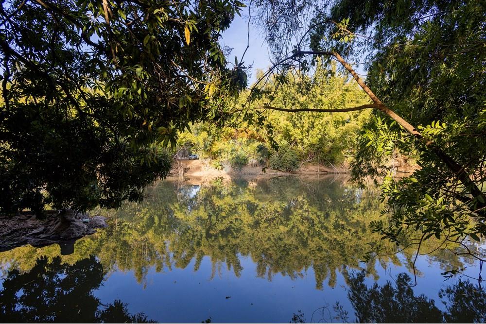 Casa - Venda - Mogi Guaçu , São Paulo - IMG_8655.jpg - Jardim Externo - 690521132-27
