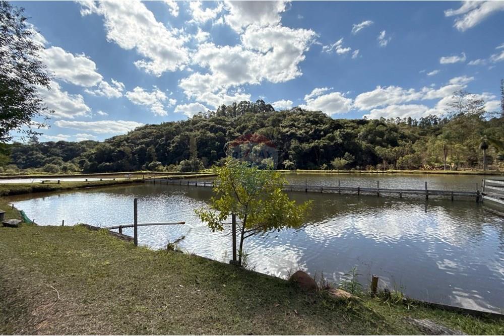 Chácara / Sítio / Fazenda - Venda - Ouro Fino , Minas Gerais - 98517fbd-3b07-4b14-8368-42fd6cf6c17a.jpg - Jardim Externo - 690521014-121