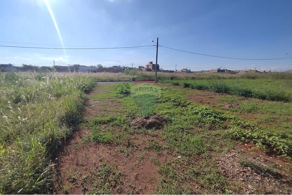 Terreno - Venda - Mogi Guaçu , São Paulo - IMG_20250430_153418.jpg - 690521005-80