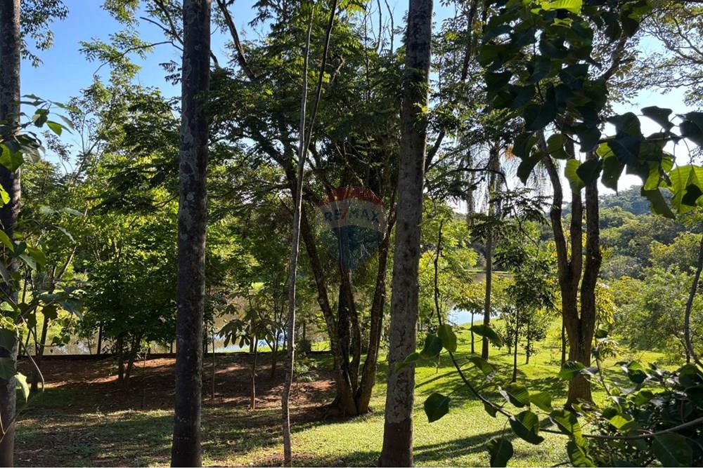 Terreno - Venda - Tuiuti , São Paulo - WhatsApp Image 2026-03-30 at 08.55.16.jpeg - 690511333-41