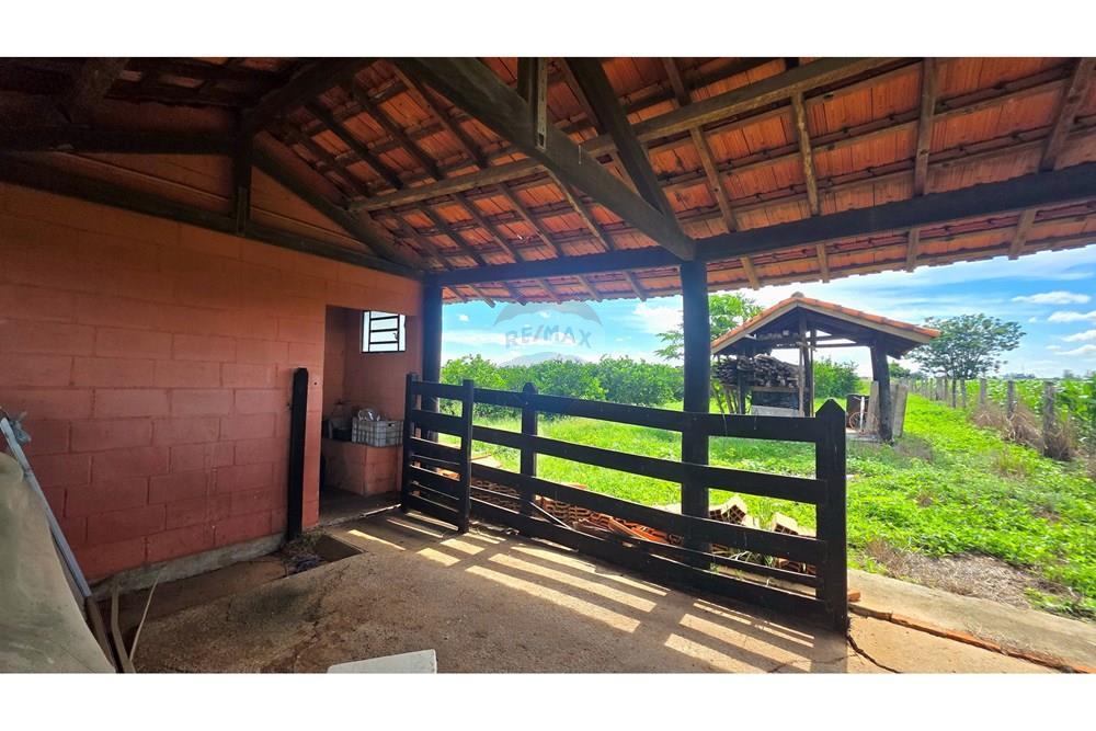 Chácara / Sítio / Fazenda - Venda - Mogi Mirim , São Paulo - 20251211_144631.jpg - 690751019-444