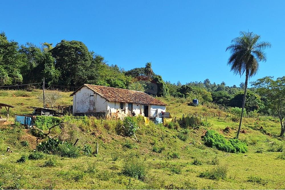 Chácara / Sítio / Fazenda - Venda - Itapira , São Paulo - 20250626_110653.jpg - 690751048-290
