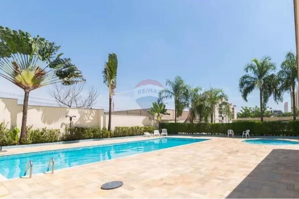 Apartamento - Alugar - Campinas , São Paulo - PISCINA1.jpg - 690681149-61