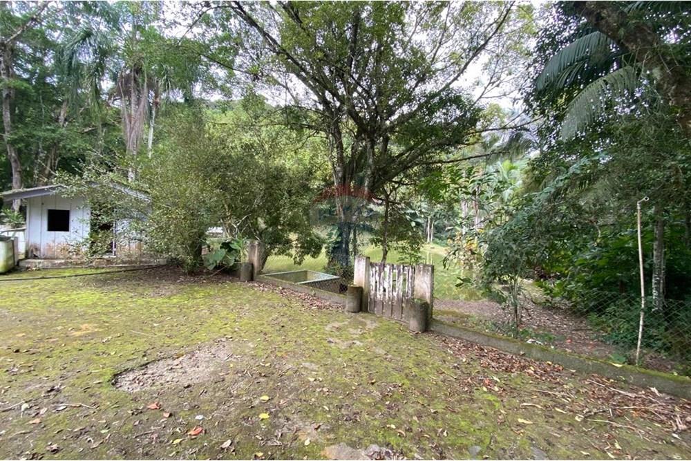 Fazenda - Venda - Juquiá , São Paulo - WhatsApp Image 2025-08-14 at 15.14.52 (3).jpeg - 690061038-11