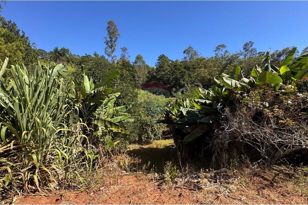 Chácara / Sítio / Fazenda - Venda - Joanópolis , São Paulo - photo_5019343269280201179_y.jpg - 690041001-120