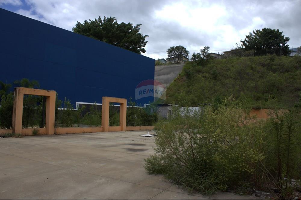 Terreno - Alugar - Bragança Paulista , São Paulo - IMG_3200.jpg - 690041001-244