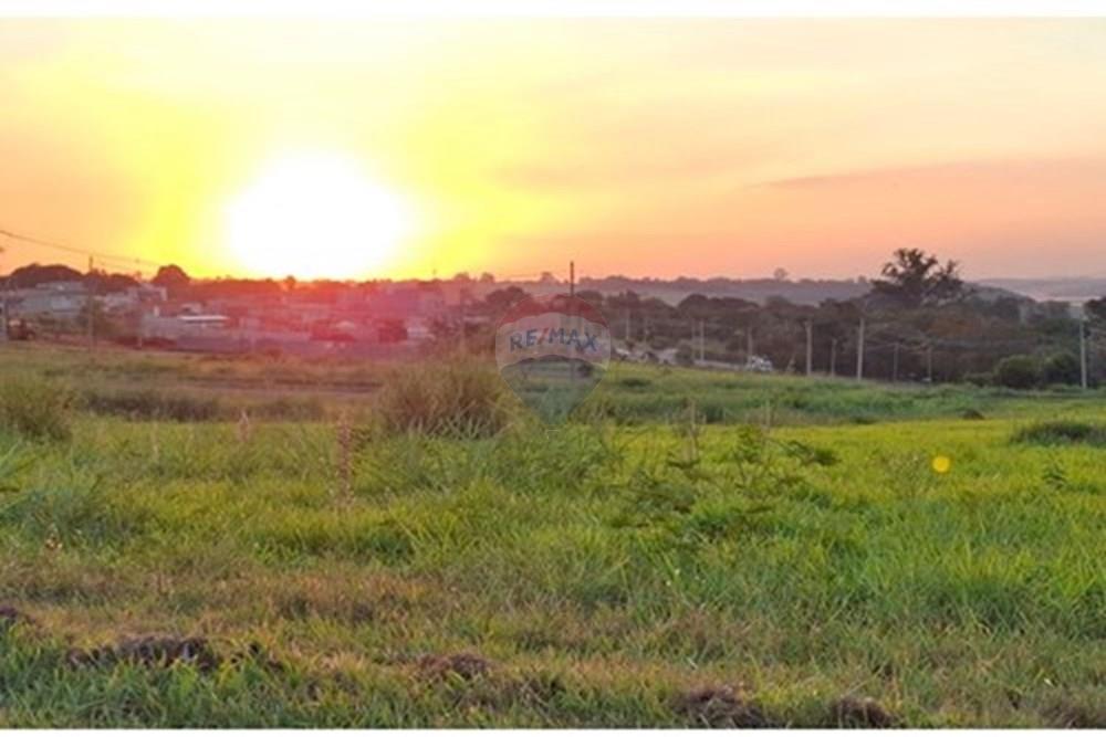 Terreno - Venda - Paulínia , São Paulo - L_a85720c8-2565-4b06-b5f0-e73c06ee4f1e.jpg - 690511208-24