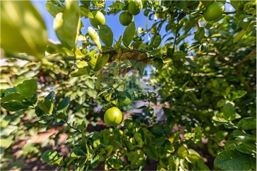 Casa de Condomínio - Venda - Itatiba , São Paulo - L_497d61cdee1f4e2cbd5a325e92f20cad.jpg - 690661013-269