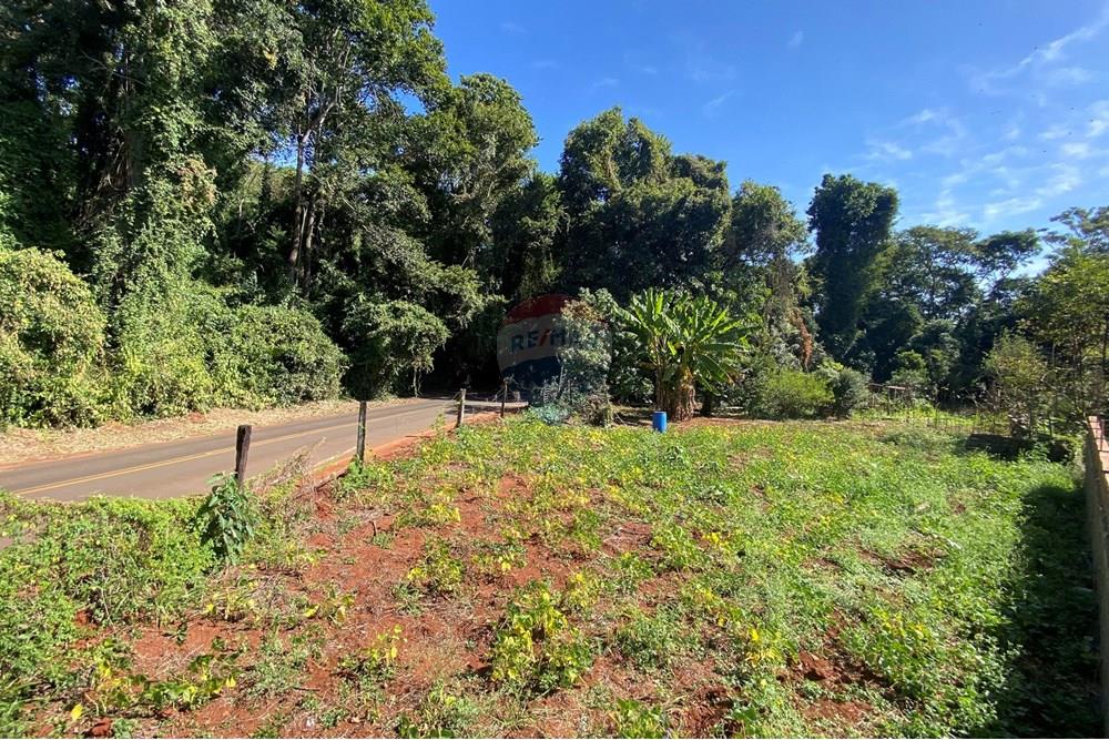 Terreno - Venda - Mogi Mirim , São Paulo - IMG_6548.JPEG - 690281041-98