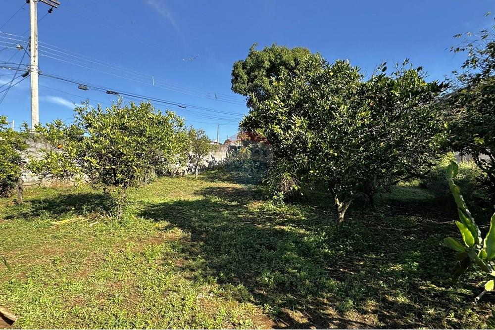 Chácara / Sítio / Fazenda - Venda - Jarinu , São Paulo - z3.JPEG - 691121003-27