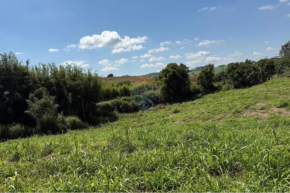 Terreno - Venda - Tuiuti , São Paulo - lote t 7.jpeg - 690041137-56