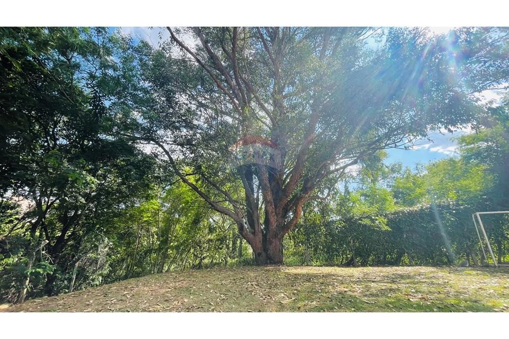 Apartamento - Venda - Limeira , São Paulo - IMG_7405.jpg - 690741005-68