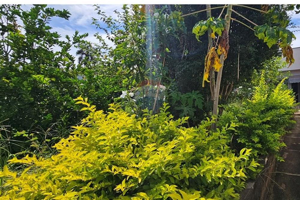 Casa - Alugar - Itapira , São Paulo - 20260112_095653.jpg - 690291048-194