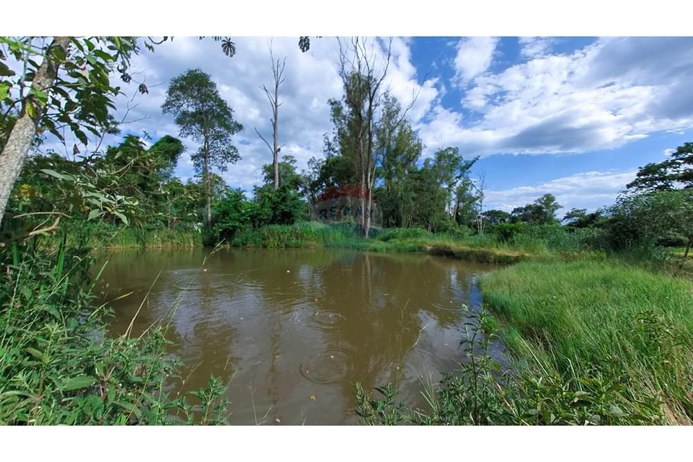 Chácara / Sítio / Fazenda - Venda - Araras , São Paulo - IMG_20250115_160434_00_389_PureShot.jpg - 690691016-236