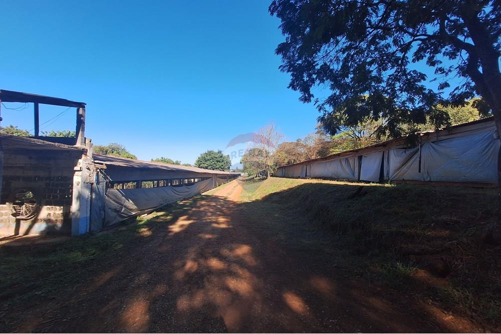 Chácara / Sítio / Fazenda - Venda - Conchal , São Paulo - 20250617_141040(1).jpg - 690751019-291