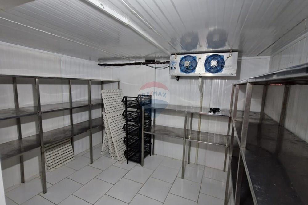 Outros - Alugar - Atibaia , São Paulo - IMG-20260309-WA0106~2.jpg - 690471187-67