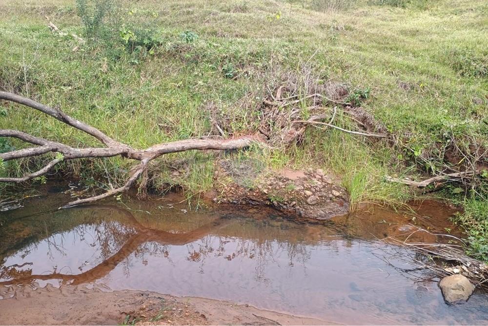 Chácara / Sítio / Fazenda - Venda - Santa Maria da Serra , São Paulo - 7a1c1300-111a-4f33-89ff-297d35722b4e.jpg - 690571076-32