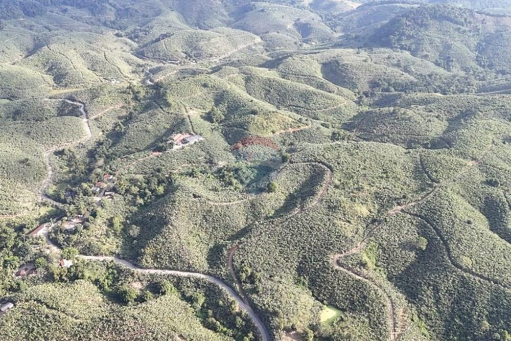 Fazenda - Venda - Miracatu , São Paulo - WhatsApp Image 2025-06-02 at 19.50.43.jpeg - 690061038-8