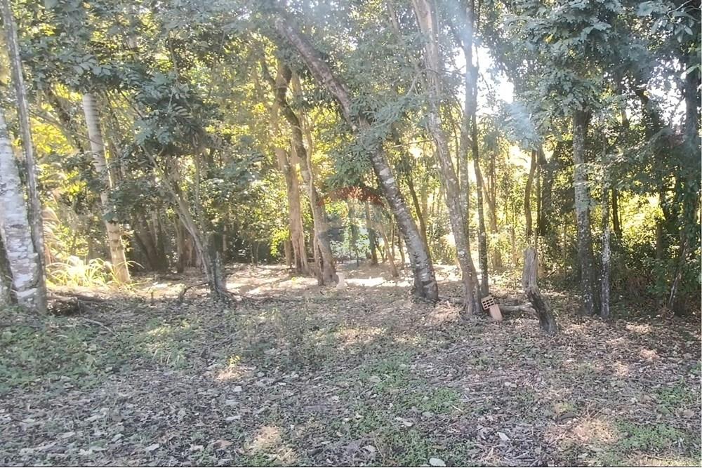 Terreno - Venda - Jaguariúna , São Paulo - 14.JPG - Quintal - 690671070-9