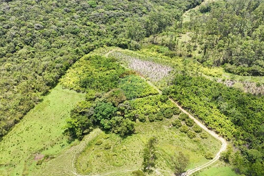 Fazenda - Venda - Pariquera-Açu , São Paulo - WhatsApp Image 2026-03-18 at 16.42.24 (2).jpeg - 690061038-24