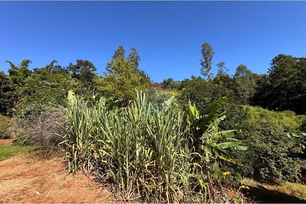 Chácara / Sítio / Fazenda - Venda - Joanópolis , São Paulo - photo_5019343269280201171_y.jpg - 690041001-120