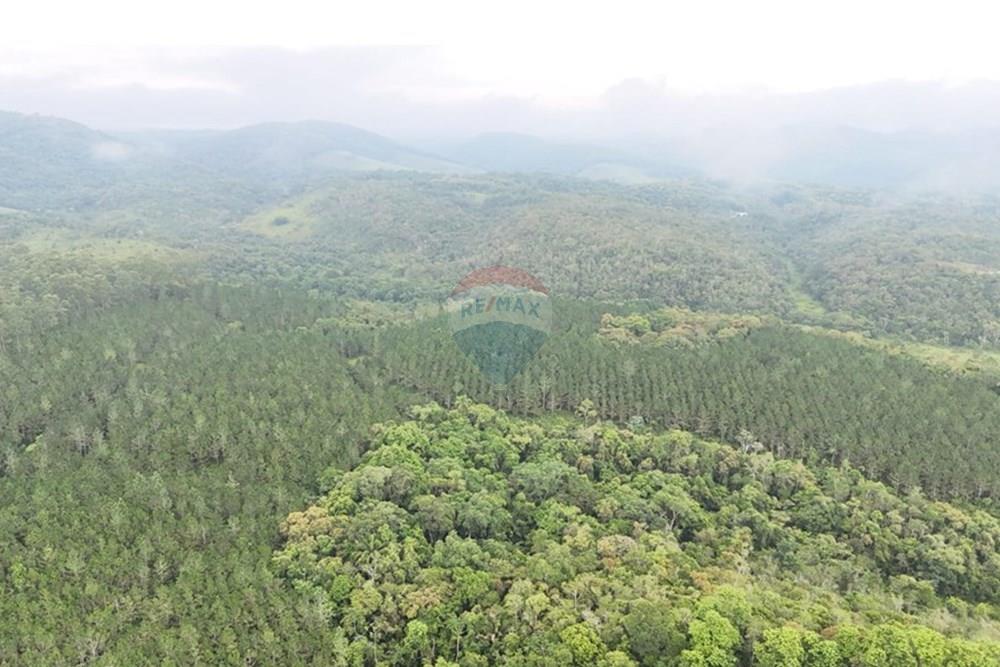 Fazenda - Venda - Jacupiranga , São Paulo - WhatsApp Image 2026-03-02 at 20.10.35.jpeg - 690061037-12