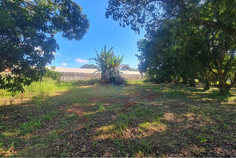 Agro - Alugar - Artur Nogueira , São Paulo - 20251120_160215.jpg - 690671009-93