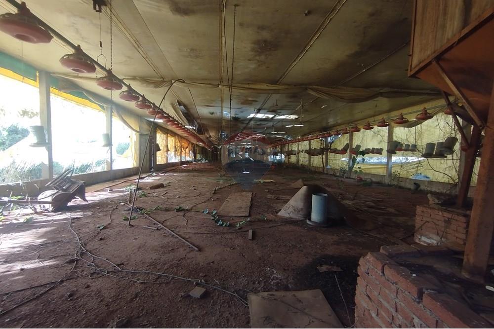 Chácara / Sítio / Fazenda - Venda - Itapira , São Paulo - IMG_20250620_135403.jpg - 690521014-142