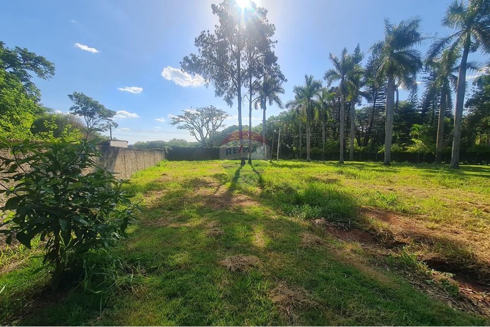 Agro - Alugar - Artur Nogueira , São Paulo - 20251120_155730.jpg - 690671009-93