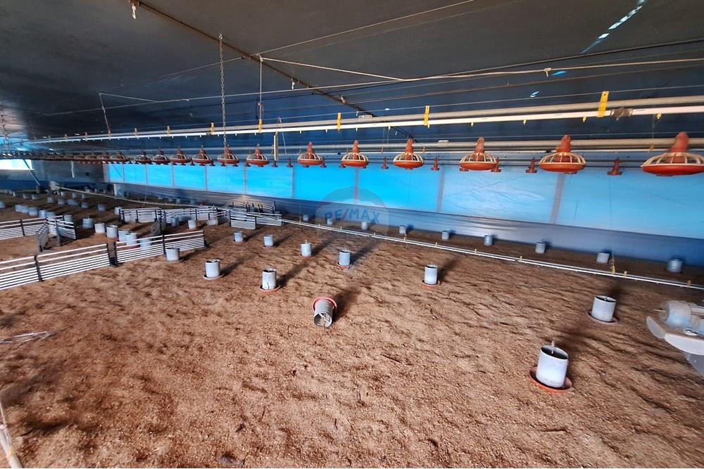 Chácara / Sítio / Fazenda - Venda - Itapira , São Paulo - 20250626_103744.jpg - 690751048-290