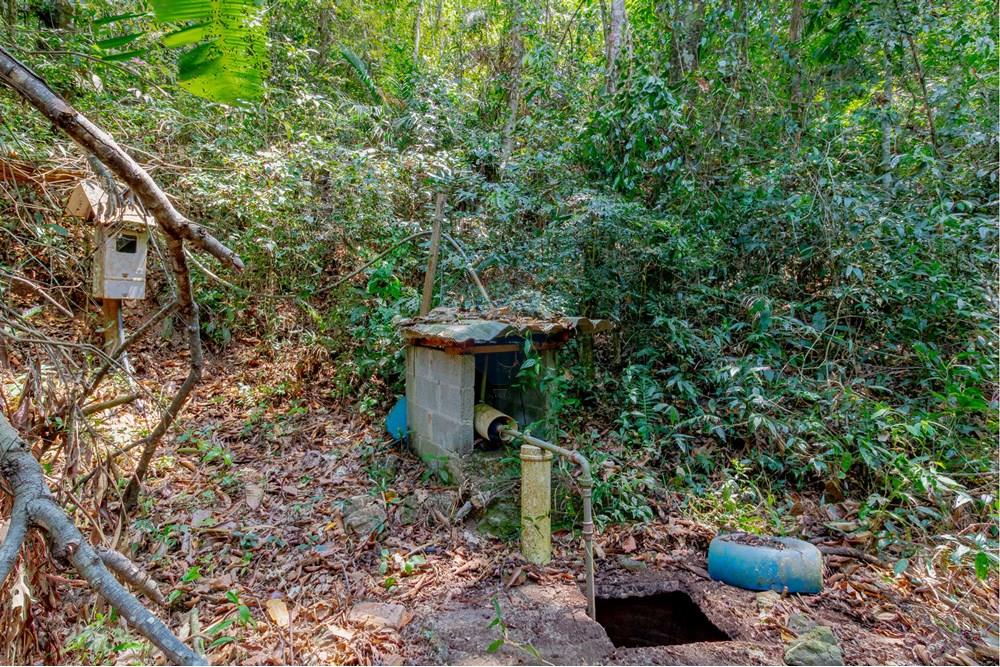 Chácara / Sítio / Fazenda - Venda - Jarinu , São Paulo - RINF-065.jpg - 690921112-7