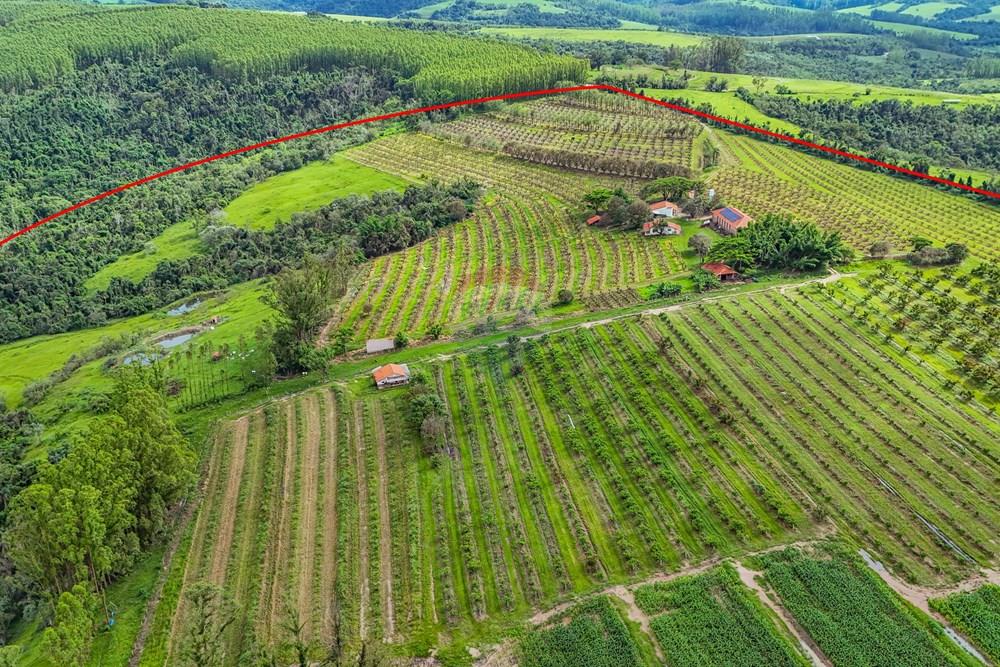 Fazenda - Venda - Analândia , São Paulo - Tratada - Drone-28.jpg - 690691016-305