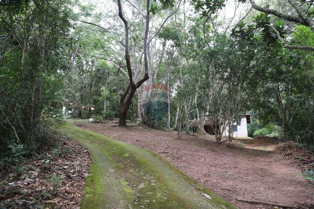 Chácara / Sítio / Fazenda - Venda - Jarinu , São Paulo - IMG_6627.JPG - 690661027-129