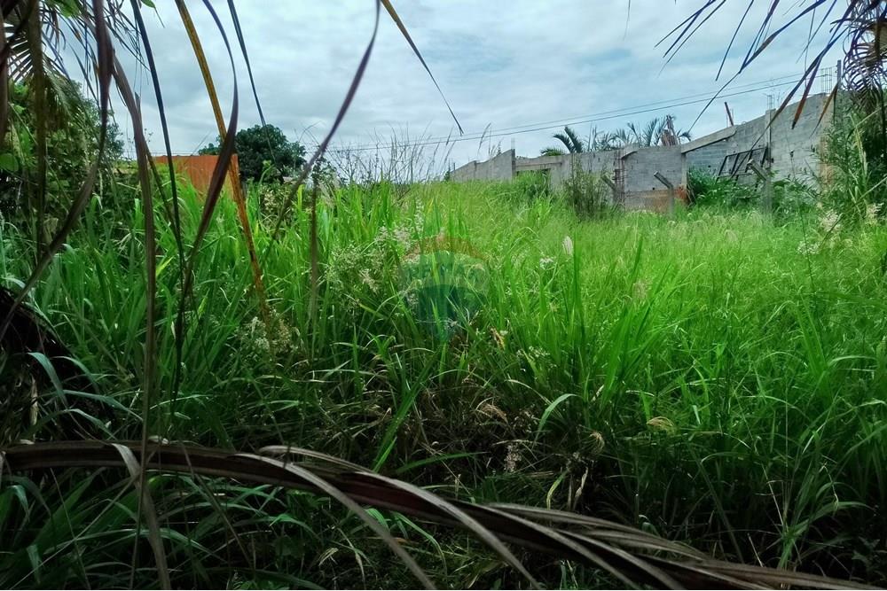 Chácara / Sítio / Fazenda - Venda - Cosmópolis , São Paulo - chácara 8.jpg - Fachada - 690831047-333