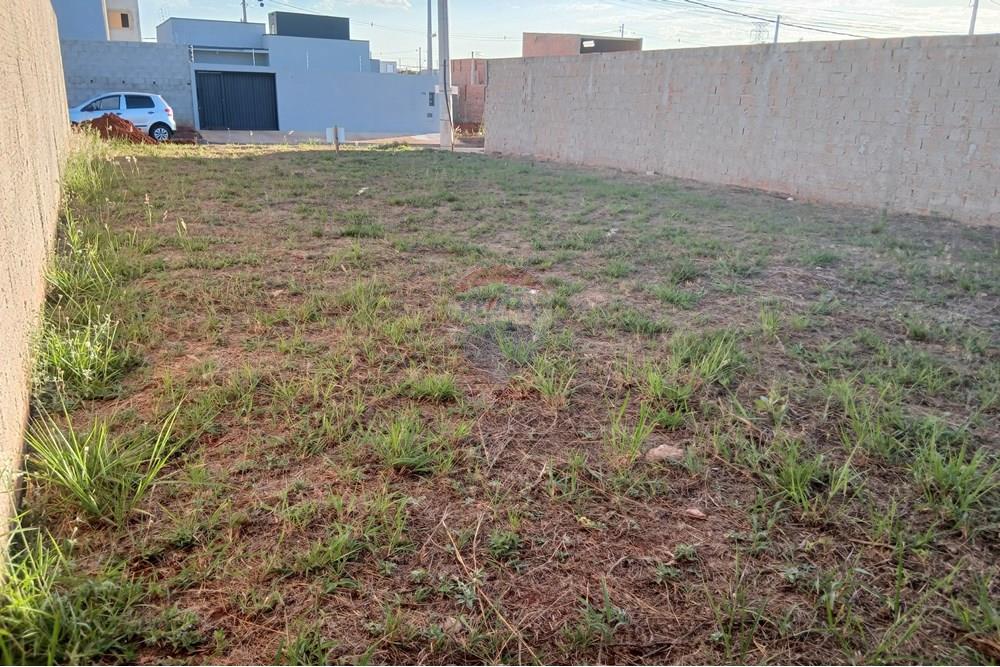 Terreno - Venda - Mogi Guaçu , São Paulo - 20250830_170839.jpg - 690521132-26