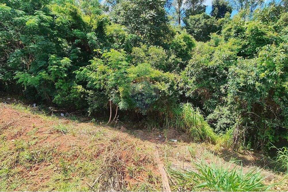 Terreno - Venda - Bragança Paulista , São Paulo - IMG-20250110-WA0057.jpg - 690041135-10