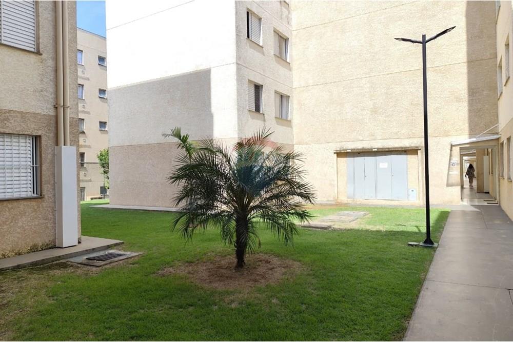 Apartamento - Alugar - Paulínia , São Paulo - 81593e70-d6fb-4b91-ac74-3fb35753d805.jpg - 690511042-376