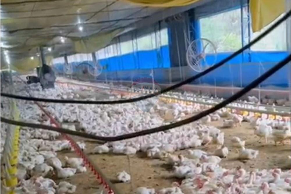 Chácara / Sítio / Fazenda - Venda - Bragança Paulista , São Paulo - GALPOES (3).jpg - 690141085-32