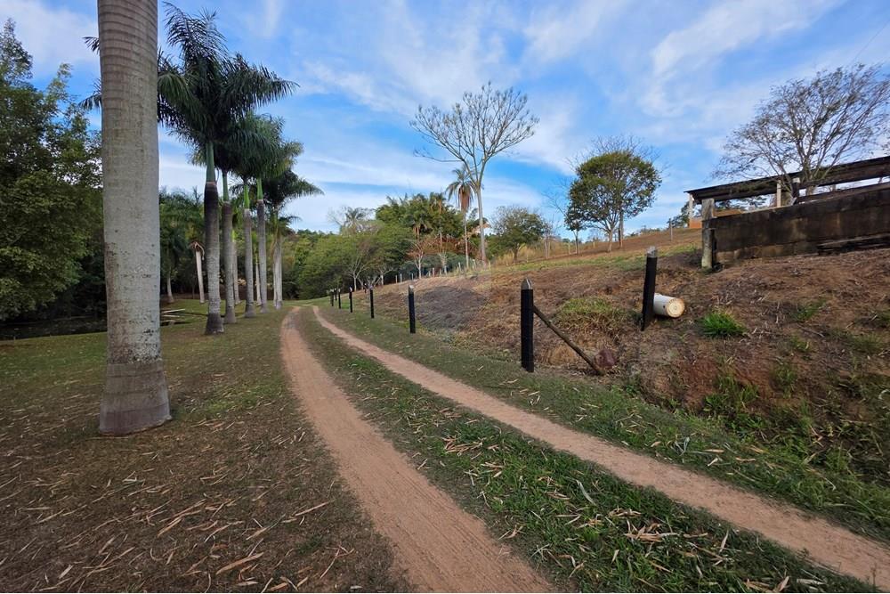 Chácara / Sítio / Fazenda - Venda - Itapira , São Paulo - 20250902_171601.jpg - 690521005-184