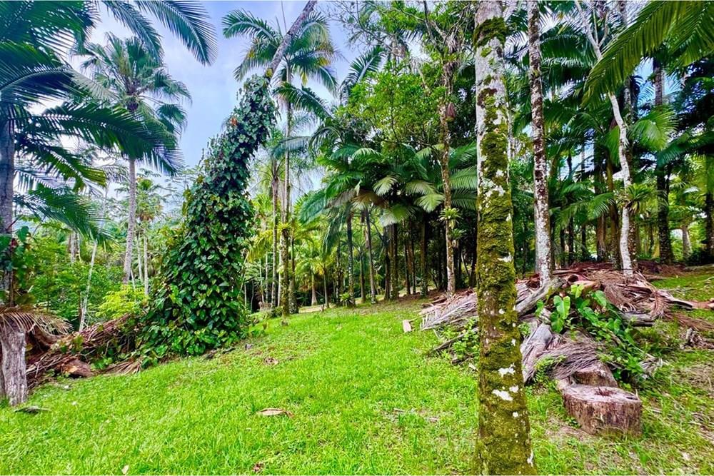 Terreno - Venda - Peruíbe , São Paulo - WhatsApp Image 2026-01-15 at 14.40.40.jpeg - 691111009-61