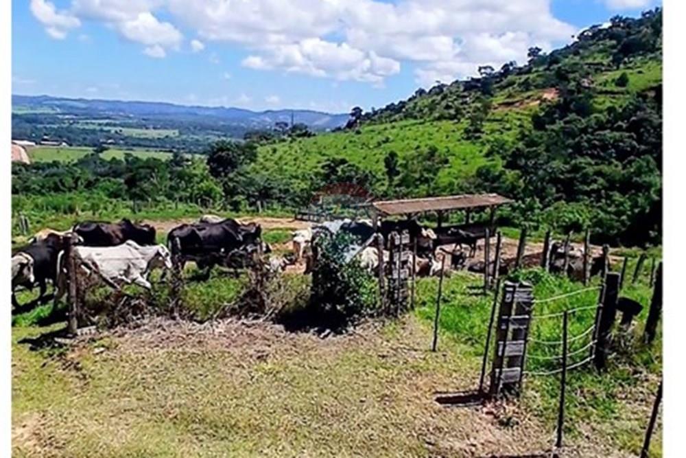 Chácara / Sítio / Fazenda - Venda - Bragança Paulista , São Paulo - Screenshot_20260224_150421_Photos~2.jpg - 690141085-32