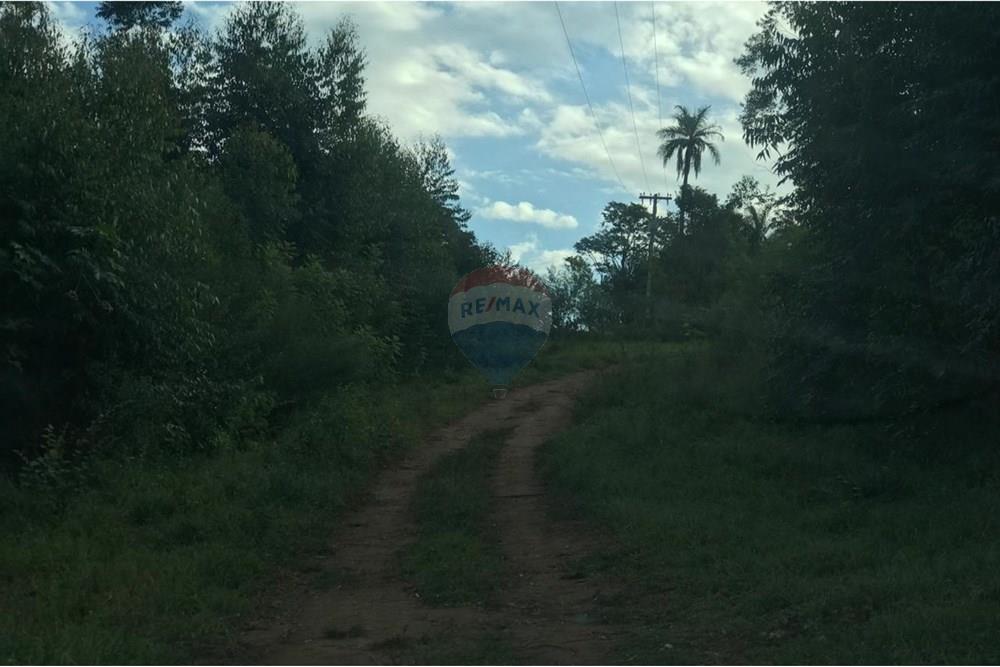 Chácara / Sítio / Fazenda - Venda - Socorro , São Paulo - IMG-20250520-WA0054.jpg - 690291056-39