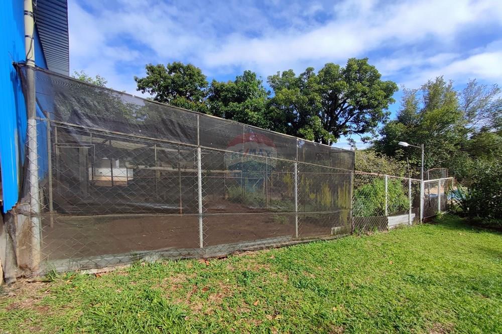 Chácara / Sítio / Fazenda - Venda - Mogi Mirim , São Paulo - 78.jpg - 690521007-331