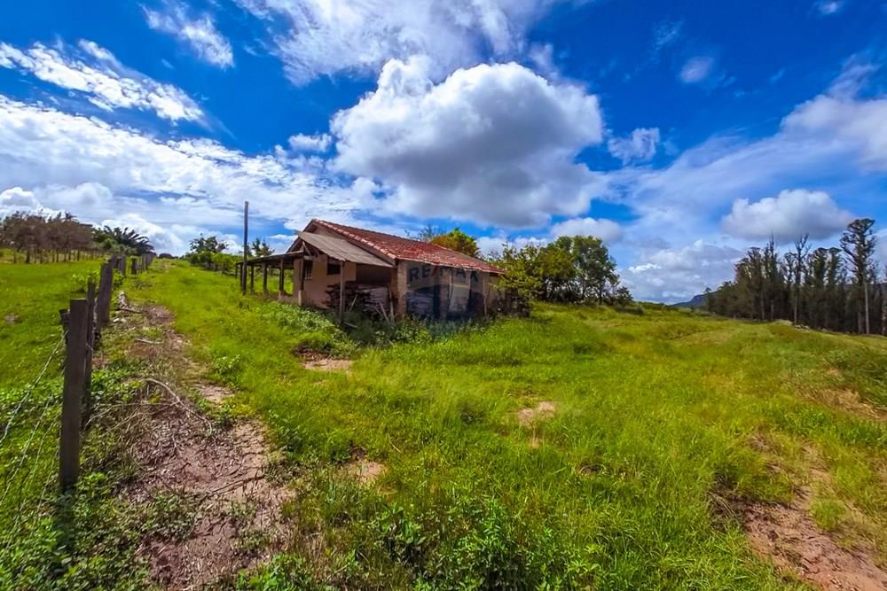 Fazenda - Venda - Analândia , São Paulo - Tratada-18.jpg - 690691016-305