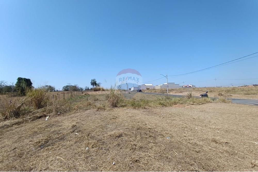 Terreno - Venda - Mogi Guaçu , São Paulo - WhatsApp Image 2025-07-22 at 11.32.28 (1).jpeg - Quintal - 690521005-197