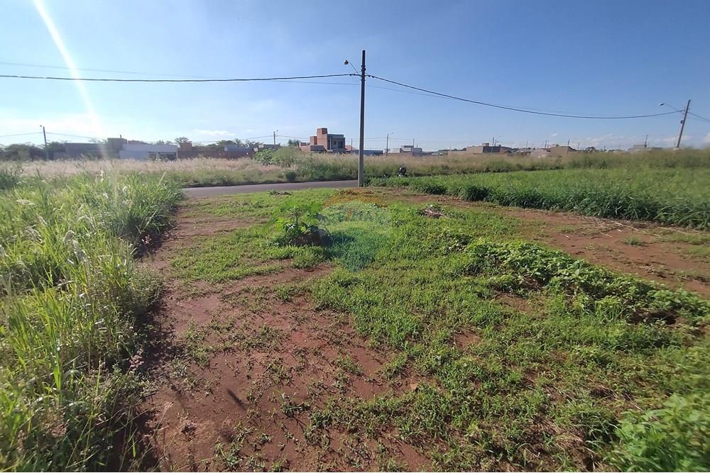 Terreno - Venda - Mogi Guaçu , São Paulo - IMG_20250430_153431.jpg - 690521005-80
