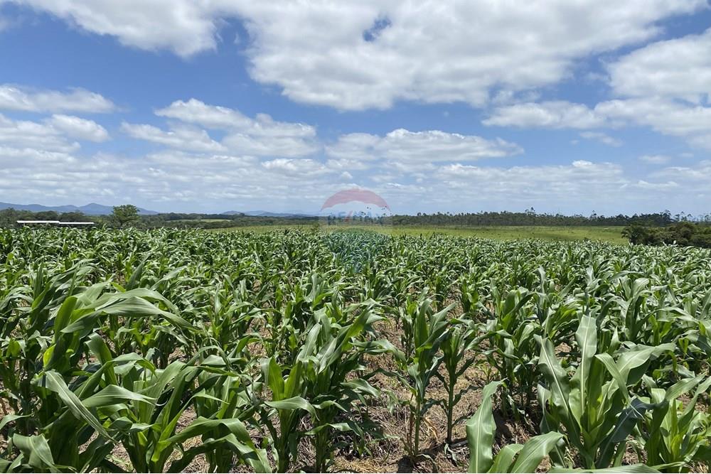 Fazenda - Venda - Iguape , São Paulo - IMG_5991.jpg - 690061038-14