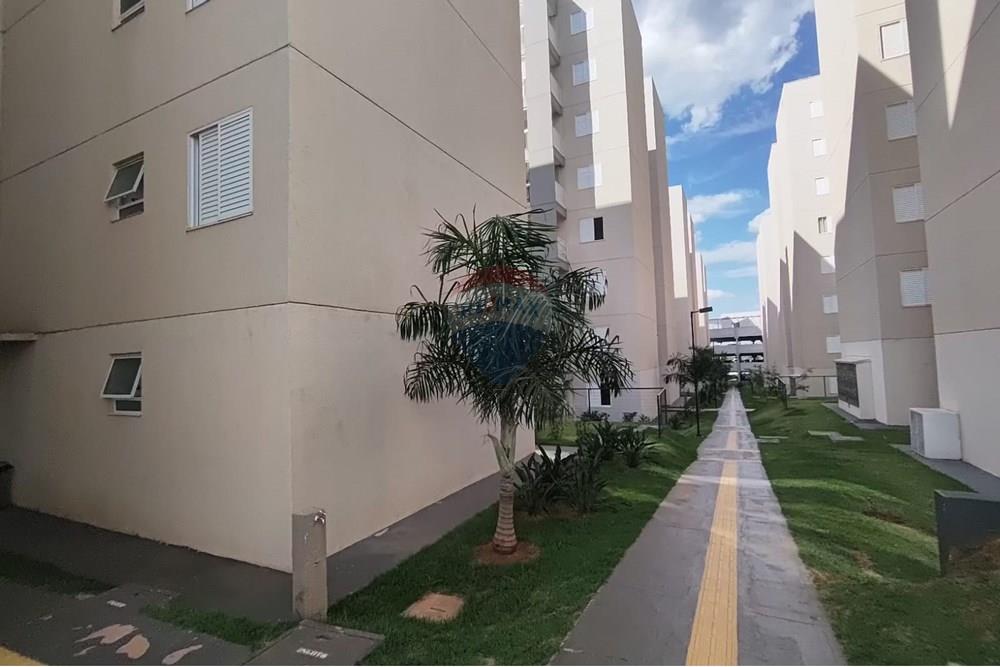 Apartamento - Alugar - Paulínia , São Paulo - 06ed0dbf-0fbf-4193-a364-16f0807dce16.jpg - 690511152-124