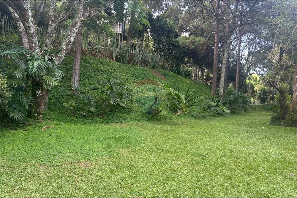 Chácara / Sítio / Fazenda - Venda - Jarinu , São Paulo - Foto 3.jpeg - 690661027-157